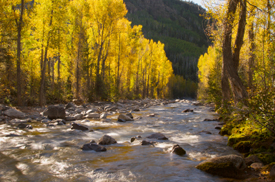 Cascade Creek - Natural Imagery